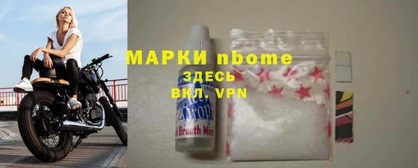 индика Бронницы